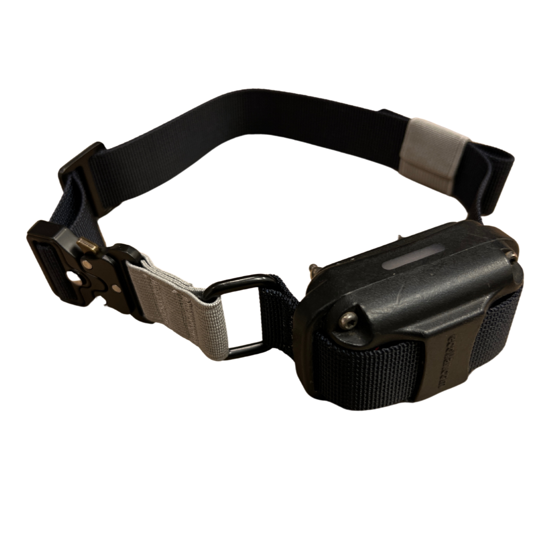 Nylon Bungee ECollar Strap K9 Academy