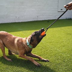 Collection image for: Balls and Tugs