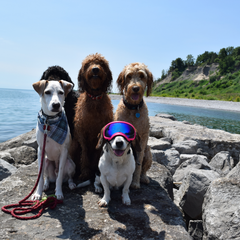 Collection image for: Adventure Gear