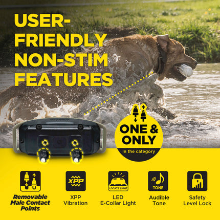 Dogtra 1900X E-Collar | 3/4 Mile Pro Remote Trainer
