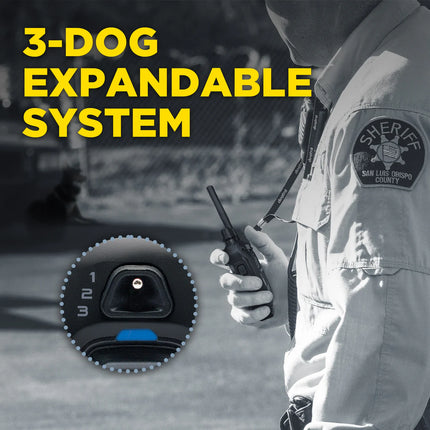 Dogtra 1900X BLACK EDITION