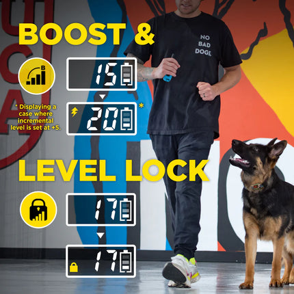 Dogtra Tom Davis 280C 2.0