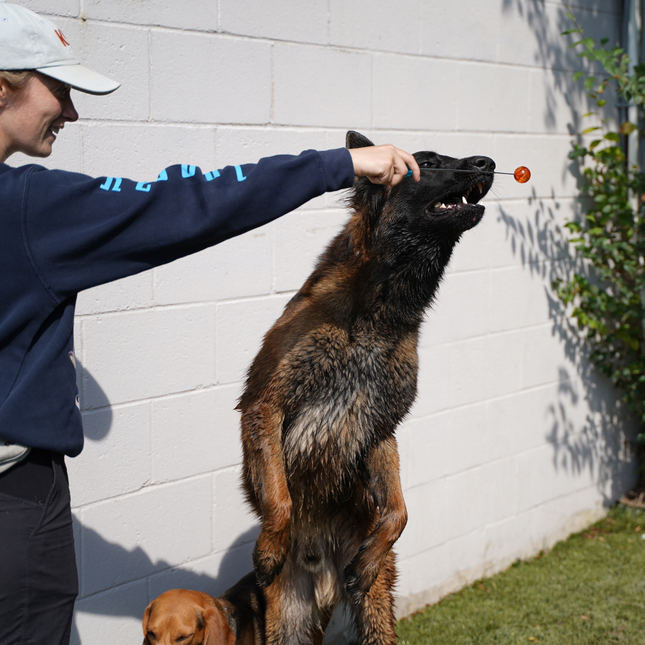 Extendable Click Stick
