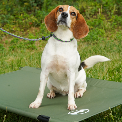 Portable Cot Cover