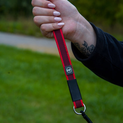 Dominant Dog Collar