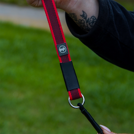 Dominant Dog Collar + Leash