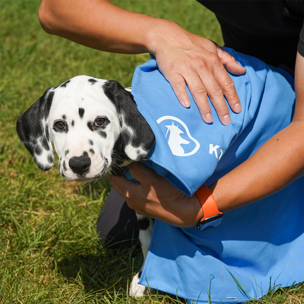 QuickDry Microfibre Towel