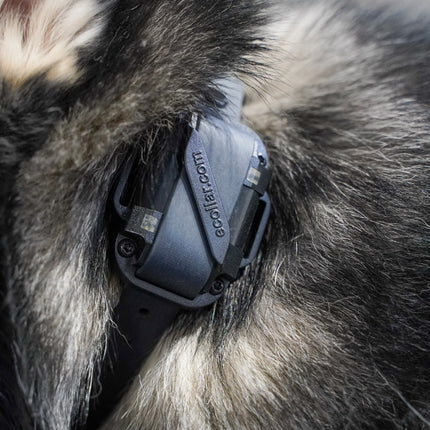 3/4" Waterproof E Collar Strap