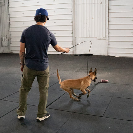 Detachable Flirt Pole