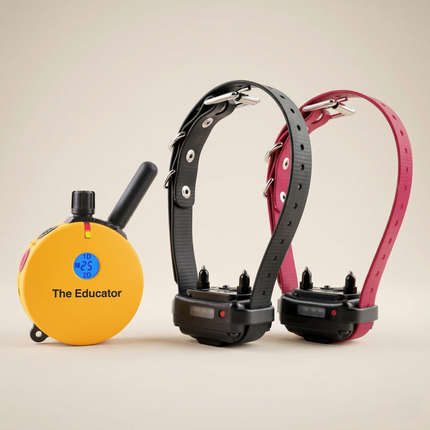 ET-400 Educator E-Collar 3/4 Mile
