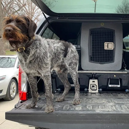 Dakota 283 G3 Framed Kennel | Premium Working Dog Crate, Toronto Canada
