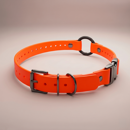 Quick-Snap Bungee E Collar Strap