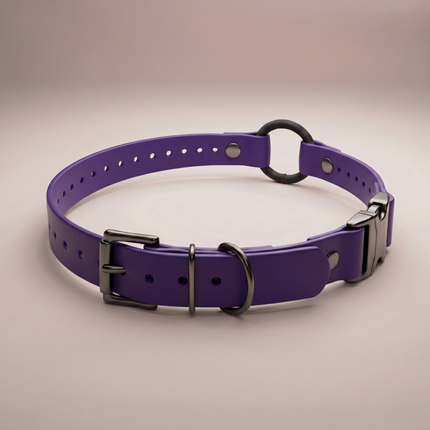 Quick-Snap Bungee E Collar Strap
