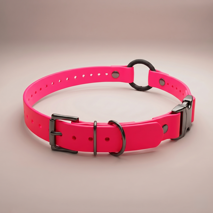 Quick-Snap Bungee E Collar Strap