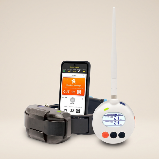 DOGTRA SMART FENCE