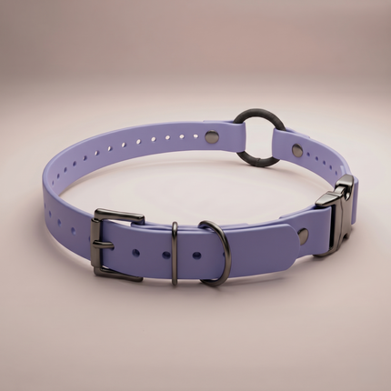 Quick-Snap Bungee E Collar Strap