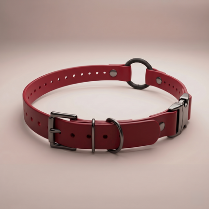 Quick-Snap Bungee E Collar Strap