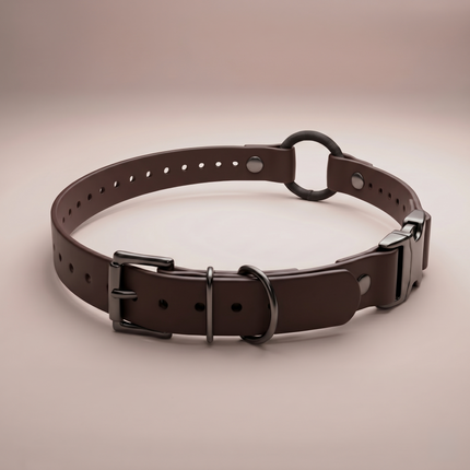 Quick-Snap Bungee E Collar Strap