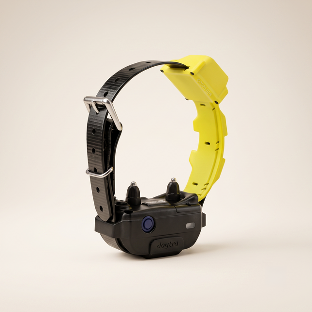 DOGTRA GPS FENCE