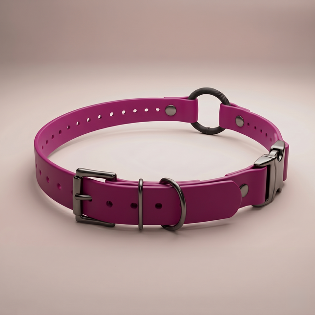 Quick-Snap Bungee E Collar Strap