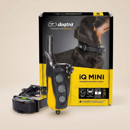 IQ Mini