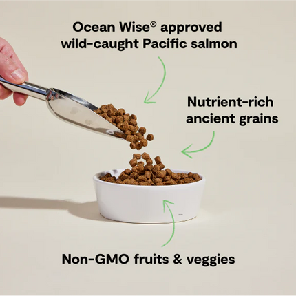 Open Farm Wild-Caught Salmon Dry Dog Food 22 lb