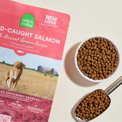 Open Farm Wild-Caught Salmon Dry Dog Food 22 lb