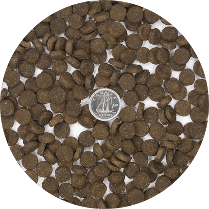 Inukshuk Marine 26/16 Fish Dog Food 15kg | All Life Stages CA