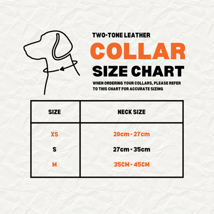 Two-Tone Leather Dog Collar | Premium Navy and White, K9 Academy