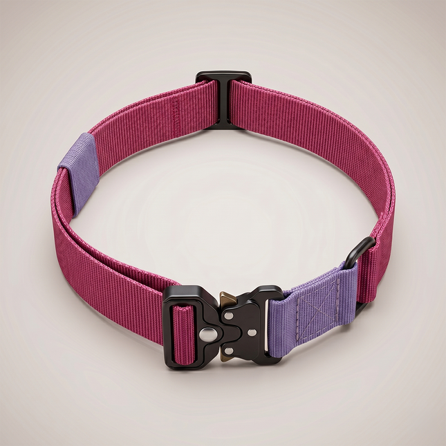 Nylon Bungee E-Collar Strap | Replacement Strap for Educator and More