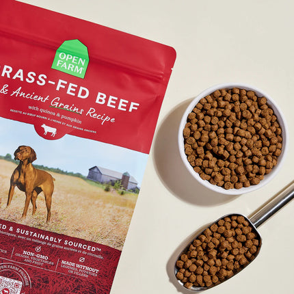 Open Farm Grass-Fed Beef & Ancient Grains 22 lb