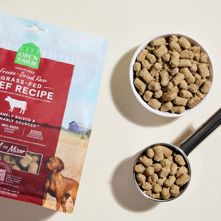 Open Farm Grass-Fed Beef Freeze Dried Raw 31 oz