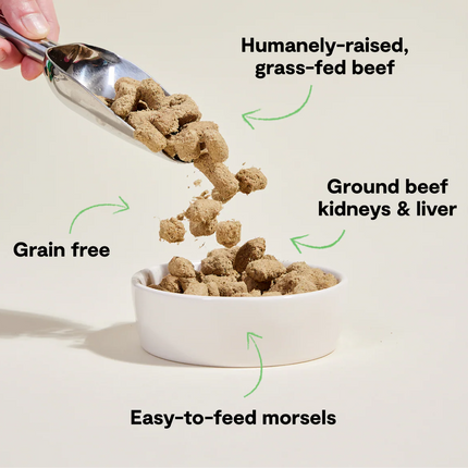Open Farm Grass-Fed Beef Freeze Dried Raw 31 oz
