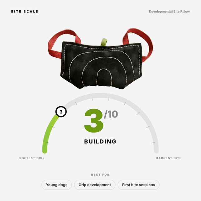 Bite scale: Developmental Bite Pillow rates 3 of 10, building. Best for young dogs, grip development, and first bite sessions.