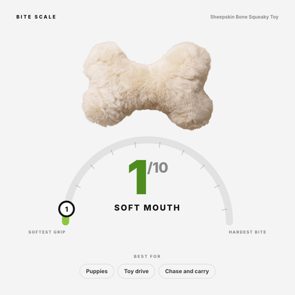Sheepskin Bone Squeaky Toy