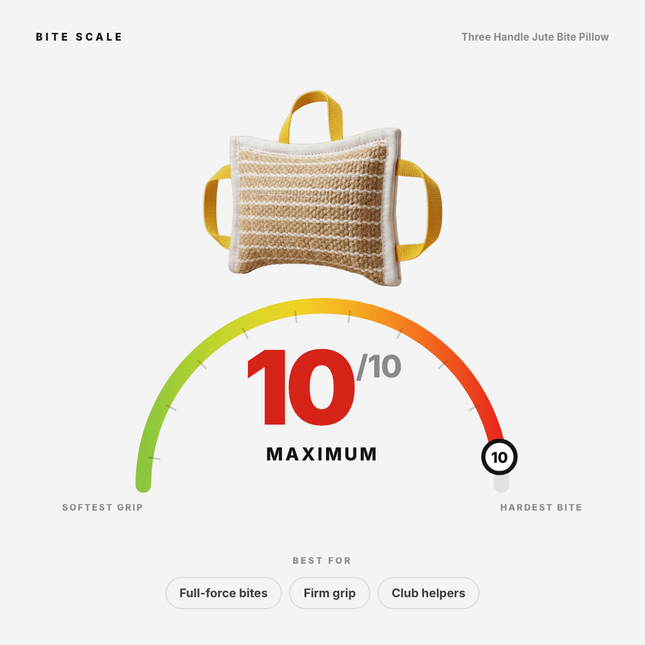 Bite scale: Three Handle Jute Bite Pillow rates 10 of 10, maximum. Best for full-force bites, firm grip, and club helpers.