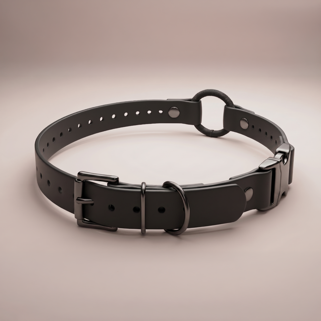 Quick-Snap Bungee E Collar Strap