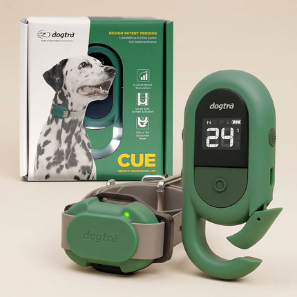 DOGTRA CUE