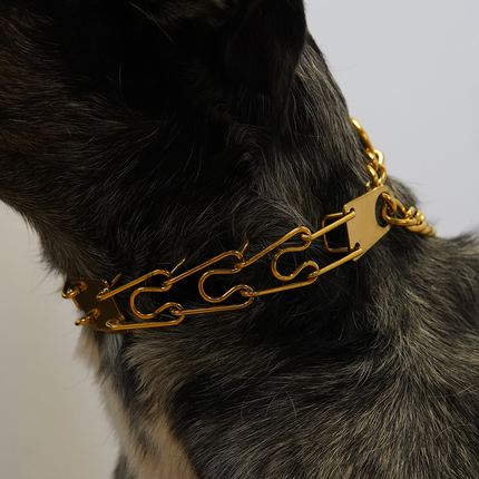 Coloured Prong Collar