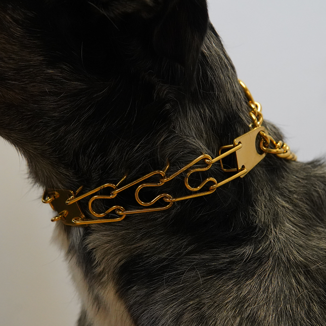 Coloured Prong Collar