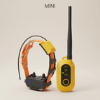 Pathfinder 2 MINI