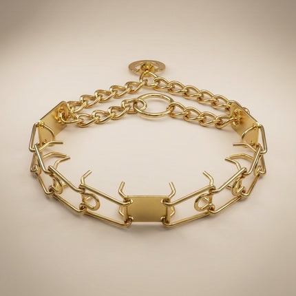 Coloured Prong Collar