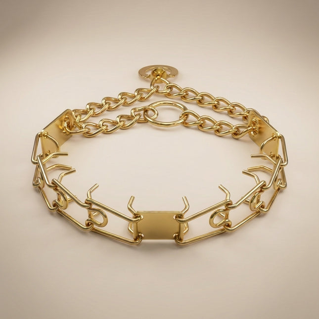 Coloured Prong Collar