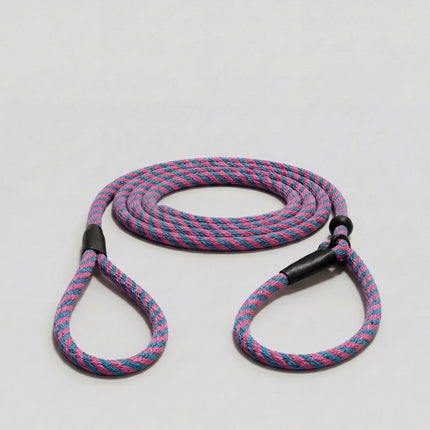 Trainer's Slip Lead