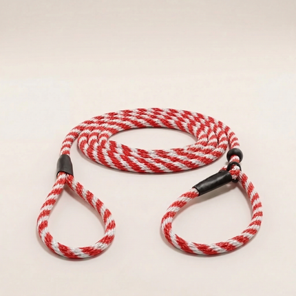 Trainer's Slip Lead