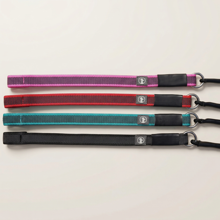 Dominant Dog Collar