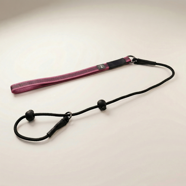 Dominant Dog Collar + Leash