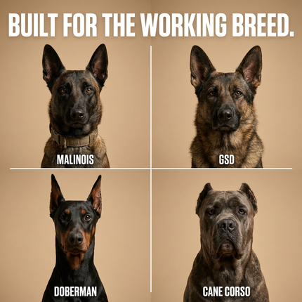 Slide 4 - Built for the working breed - Malinois GSD Doberman Cane Corso
