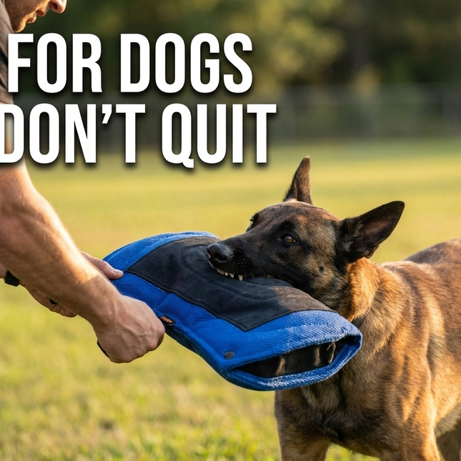 Slide 2 - Built for dogs that don't quit - K9 Academy Bite Wedge action shot