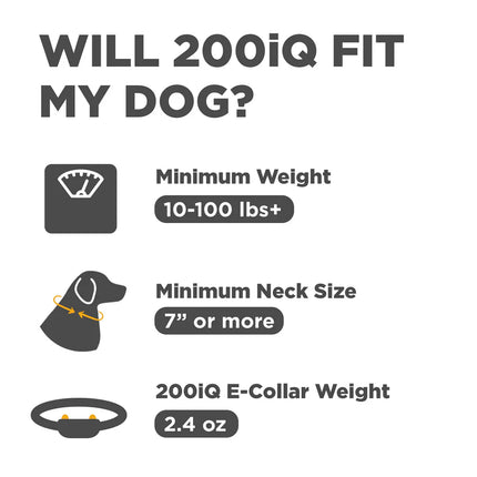 200iQ 1 - DOG UNIT